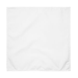 Cloth Napkin Set